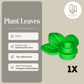 Plant Leaves 32607