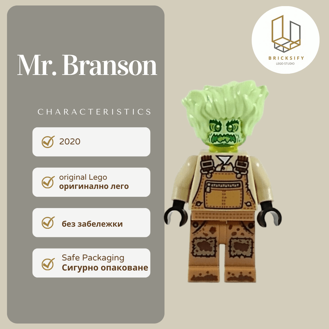 Mr.Branson hs006