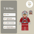 T-16 Pilot 0619