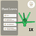 Plant Leaves 19119