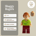 Shaggy Rogers scd001