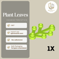Plant Leaves 2423.
