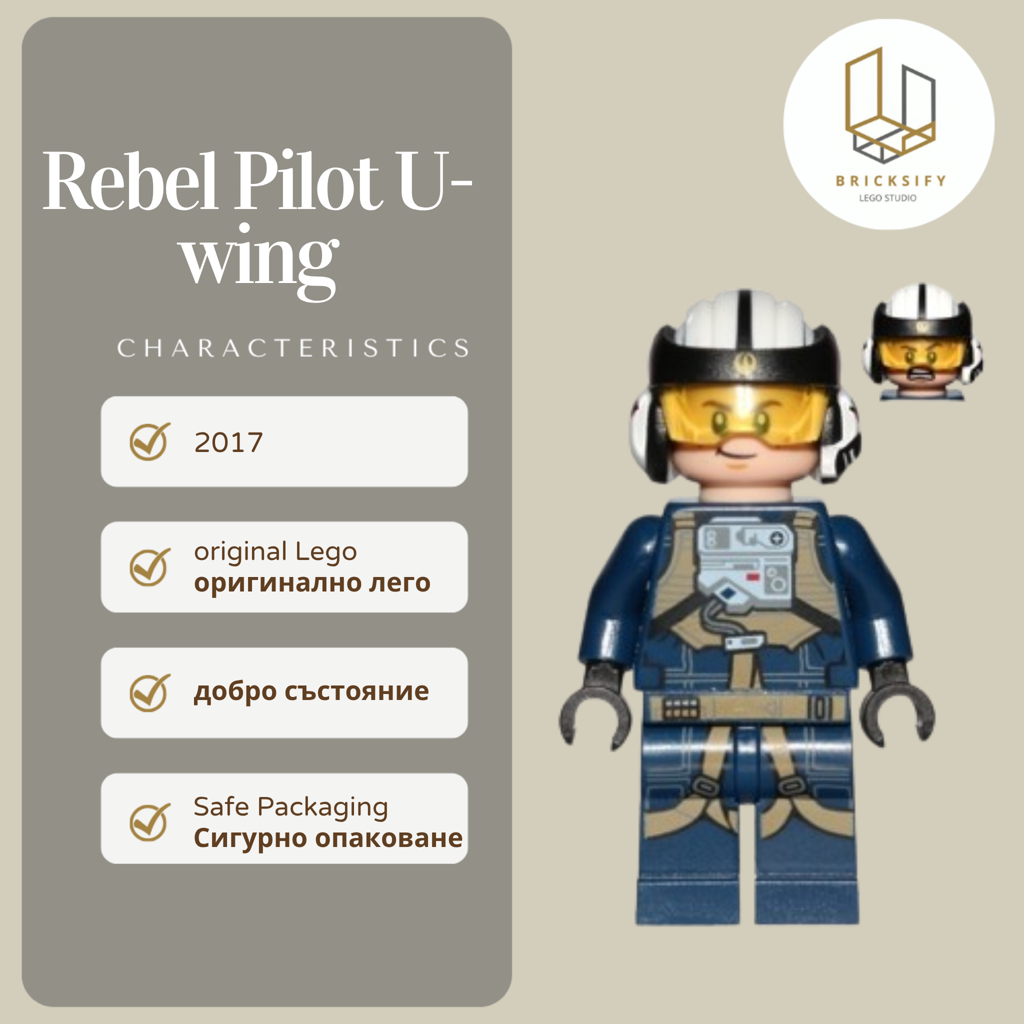 Rebel Pilot 0800