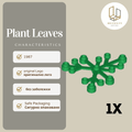 Plant Leaves 2417