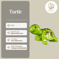 Turtle 11603pb01