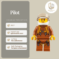Pilot 794
